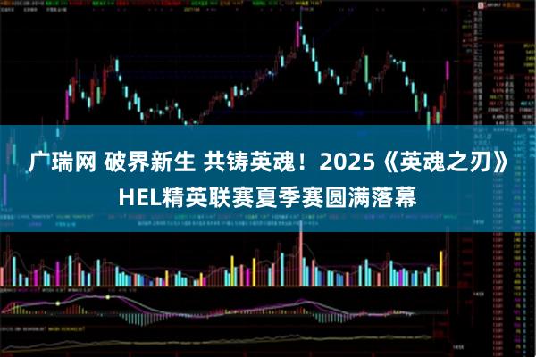广瑞网 破界新生 共铸英魂！2025《英魂之刃》HEL精英联赛夏季赛圆满落幕