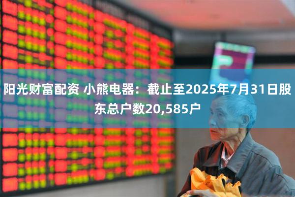 阳光财富配资 小熊电器：截止至2025年7月31日股东总户数20,585户