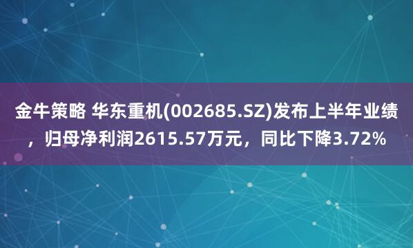 金牛策略 华东重机(002685.SZ)发布上半年业绩,归母净利润2615.57万元,同比下降3.72%