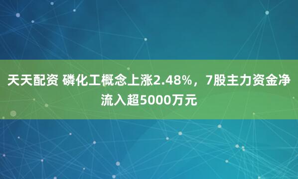 天天配资 磷化工概念上涨2.48%，7股主力资金净流入超5000万元